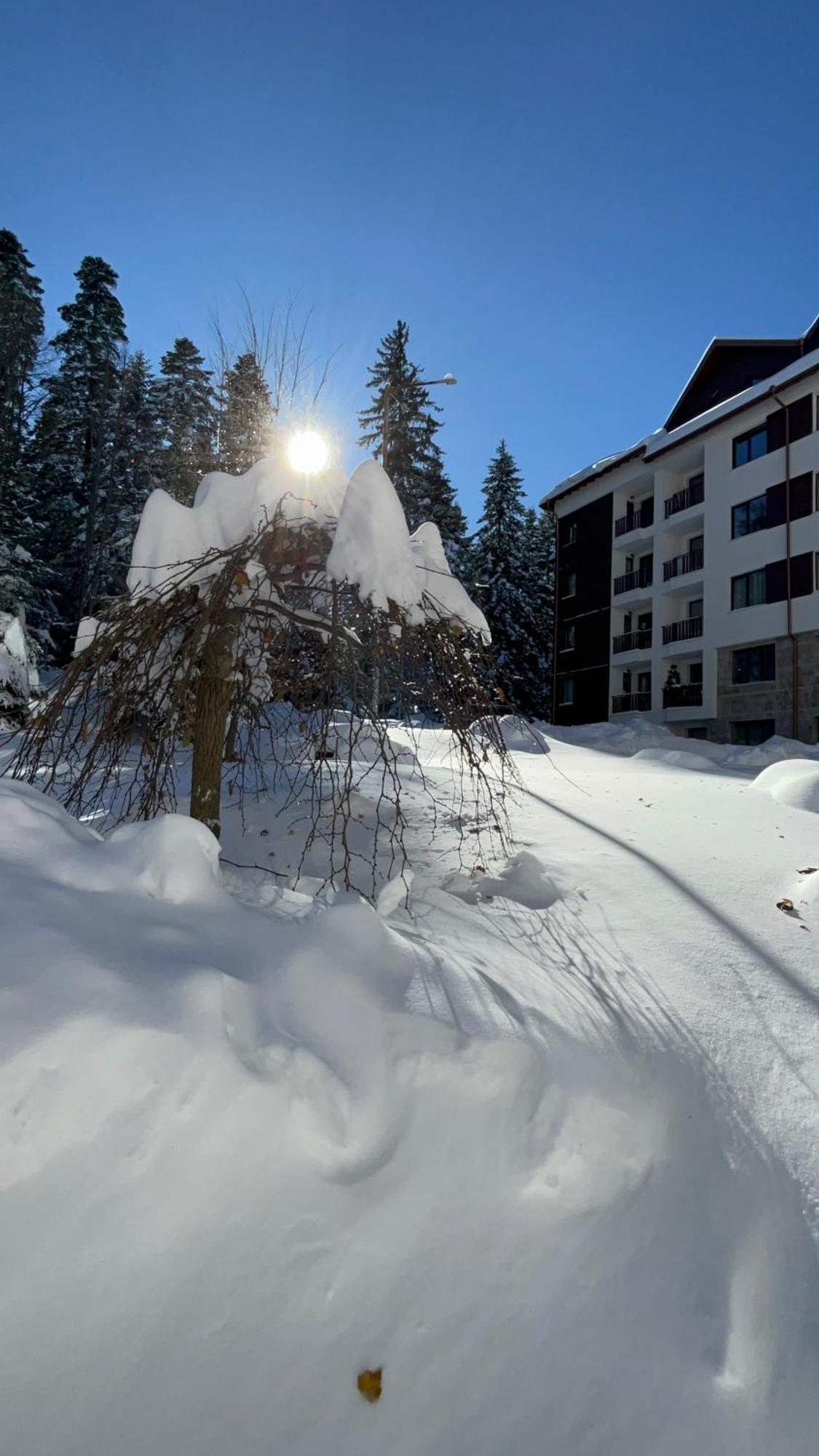 Borovets Gardens B21 Morunov Apart Exteriér fotografie