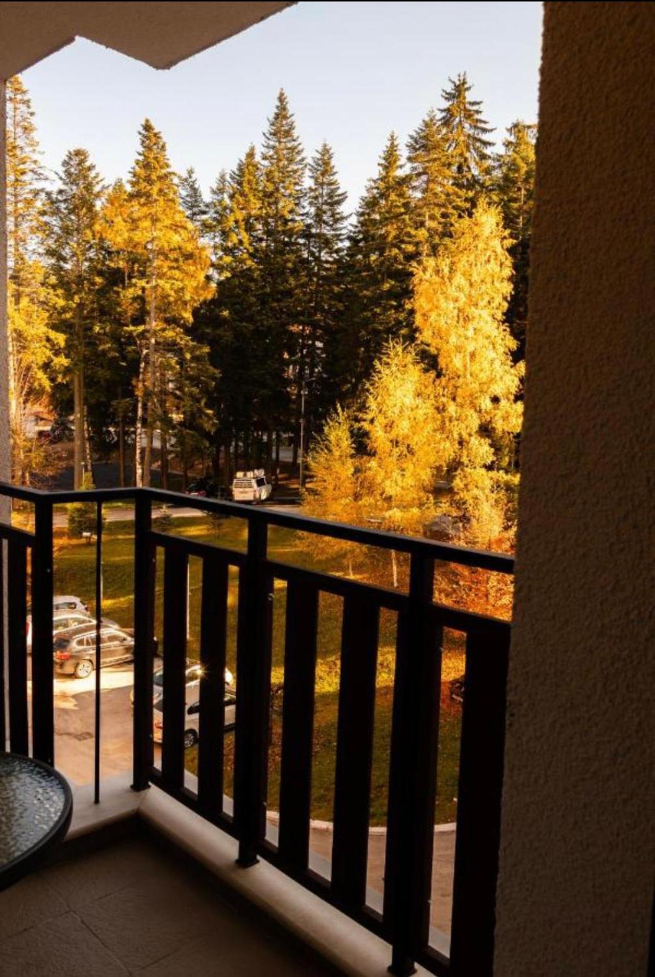Borovets Gardens B21 Morunov Apart Exteriér fotografie